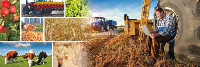 d0b2d181d0b5-d0b1d0b8d0b7d0bdd0b5d181-d0b8d0b4d0b5d0b8-d0bdd0b0-d181d0b5d0bbd18cd181d0bad0bed0bc-d185d0bed0b7d18fd0b9d181d182d0b2d0b5