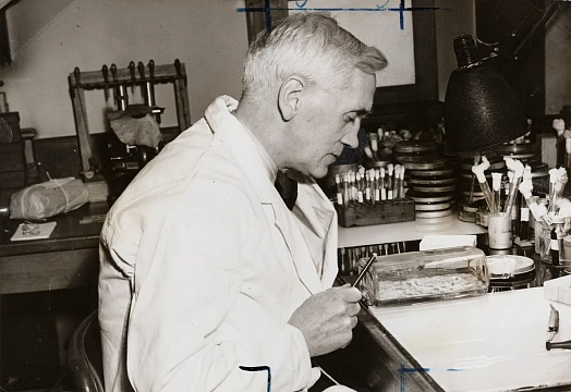 d0b2-d0bad0b0d0bad0bed0bc-d0b3d0bed0b4d183-d0b8d0b7d0bed0b1d180d0b5d0bbd0b8-d0bfd0b5d0bdd0b8d186d0b8d0bbd0bbd0b8d0bd