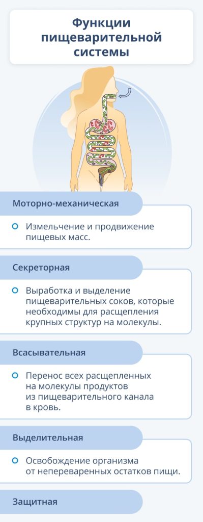 d0bad0b0d0ba-d0bfd0bed0bcd0bed187d18c-d0b6d0b5d0bbd183d0b4d0bad183-d0bfd0b5d180d0b5d0b2d0b0d180d0b8d182d18c-d0bfd0b8d189d183