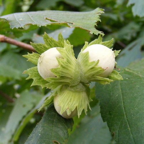 d0bad0b0d0ba-d180d0b0d181d182d0b5d182-d184d183d0bdd0b4d183d0ba