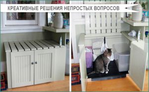 d0bad0b0d0ba-d181d0bfd180d18fd182d0b0d182d18c-d0bad0bed188d0b0d187d0b8d0b9-d182d183d0b0d0bbd0b5d182